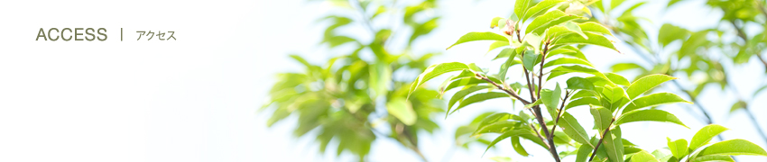 つくば眼科 山田医院 アクセス